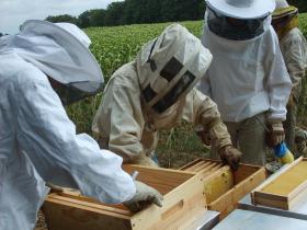 photo coins arrondis